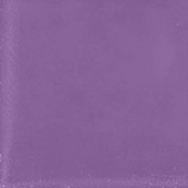 DL2