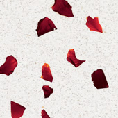 Cristal20-Red