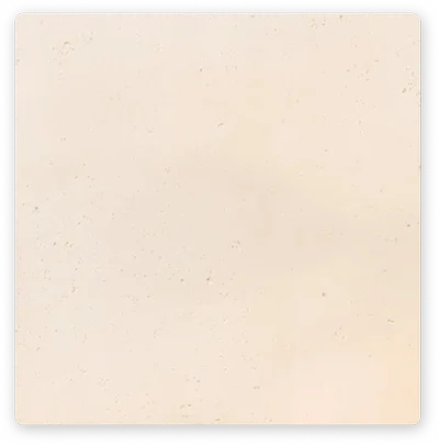 T2