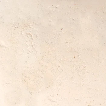 T2