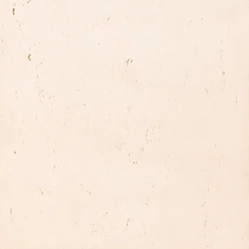 T2