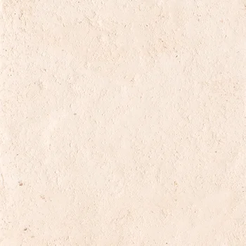 T2